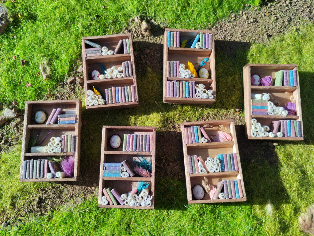 Magnet bibliothèque  camée miniature