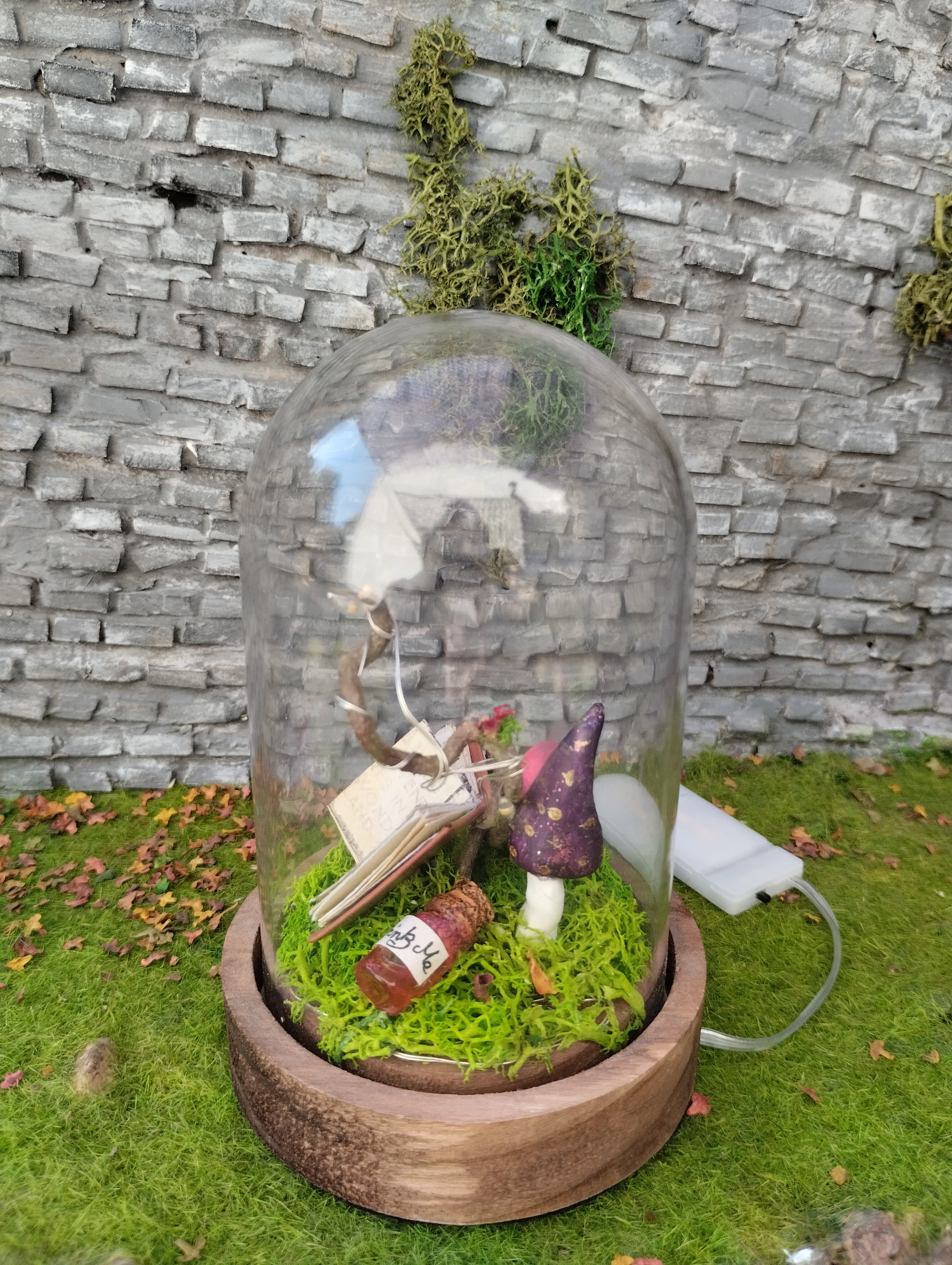 Cloche lumineuse wonderland