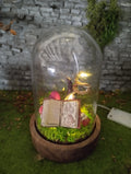 Cloche lumineuse wonderland